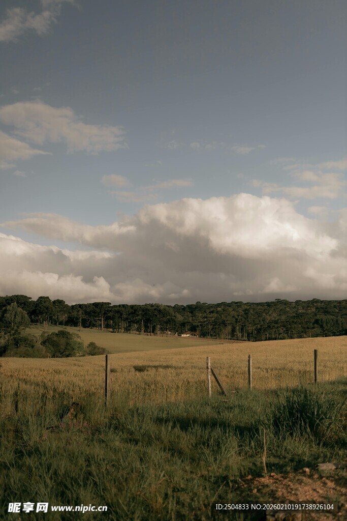 田野风光 远处云层低垂