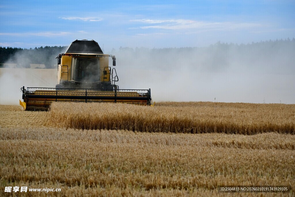 麦田里的联合 割机作业