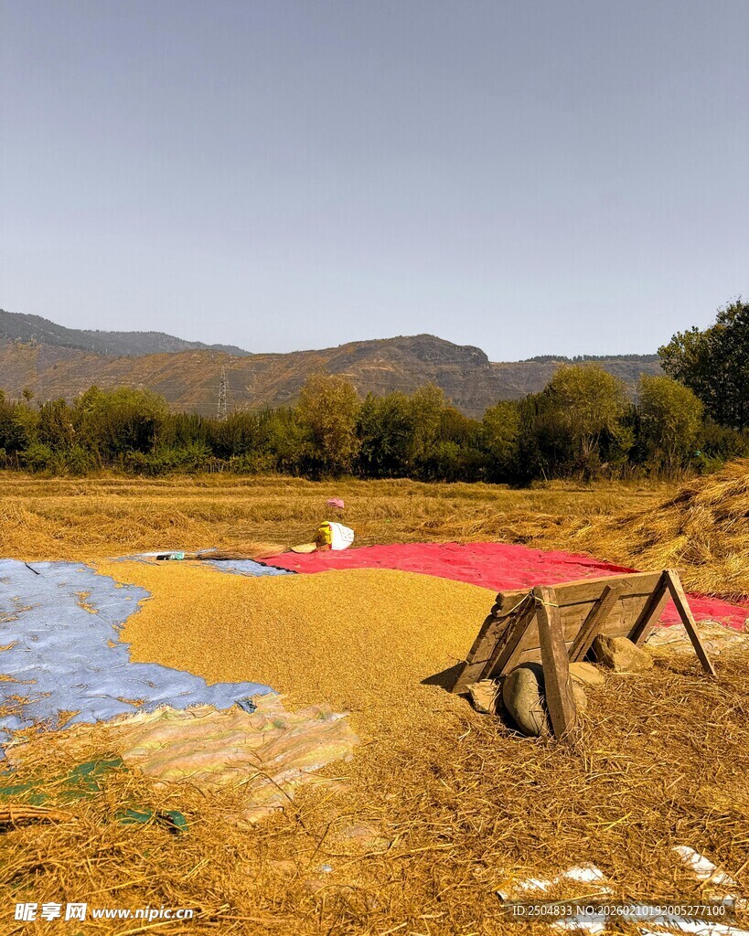 田野中的多彩铺设场景