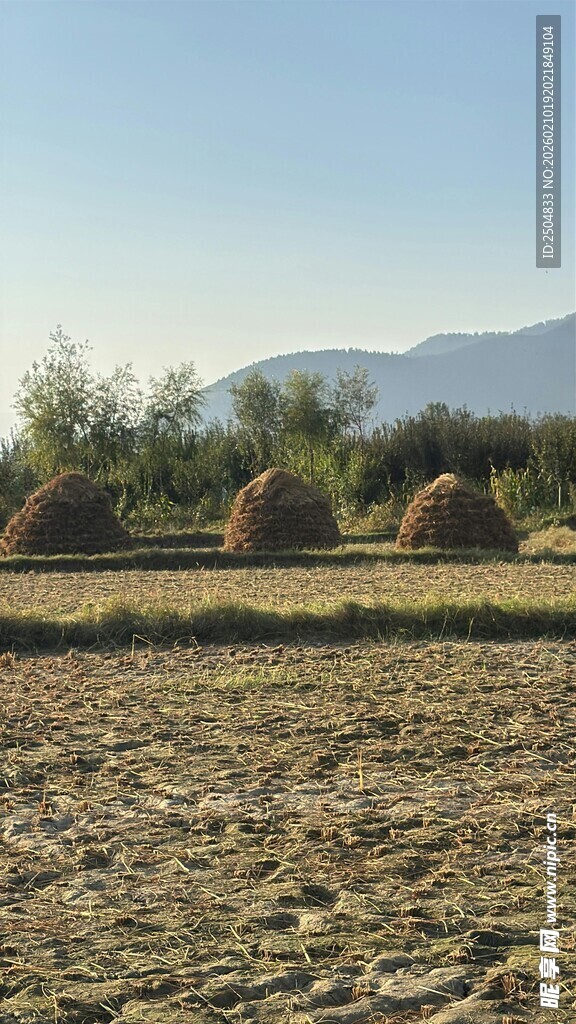 田野中的干草堆