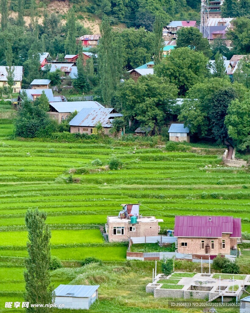 乡村田园风光美景
