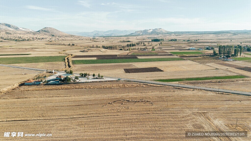 广袤田野中的石油钻井设备