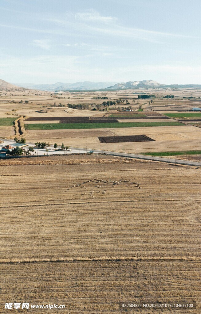 田野中的农业机械作业场景