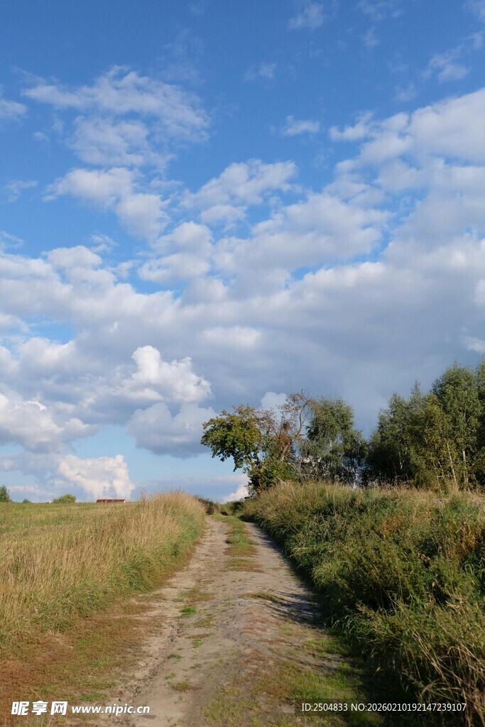 乡间小路 蓝天白云下的风景