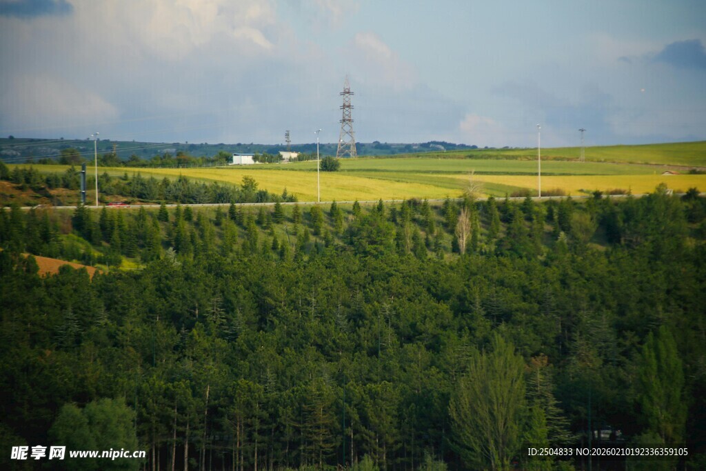 广袤森林与田野风光