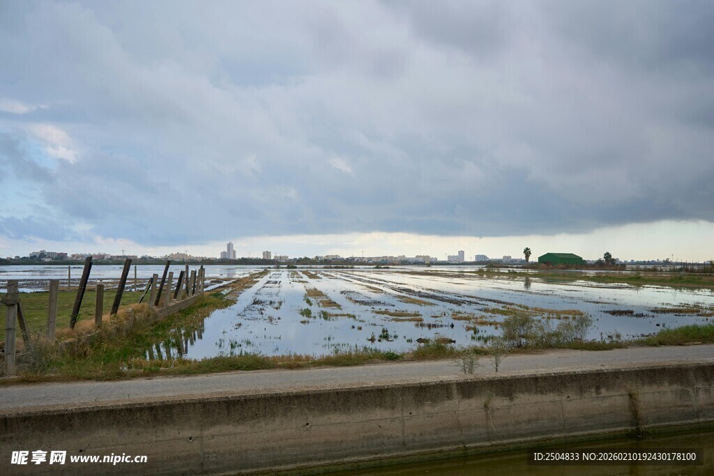 乡村水田与 沉天空景象
