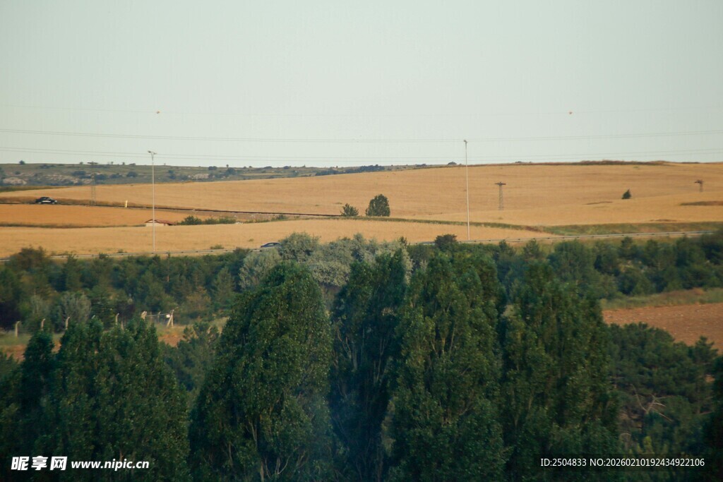 广袤田野与葱郁树林景观