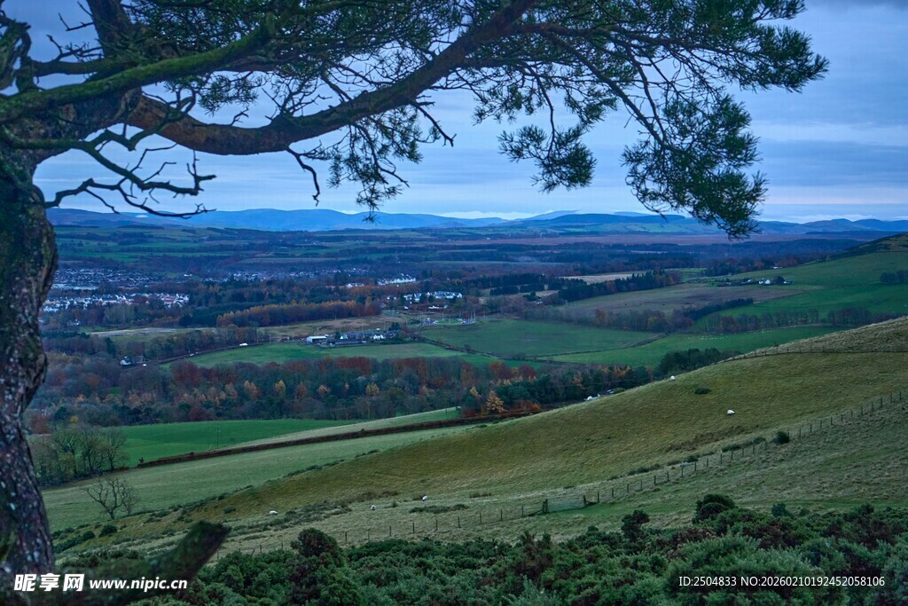 山间美景 孤树俯瞰绿野