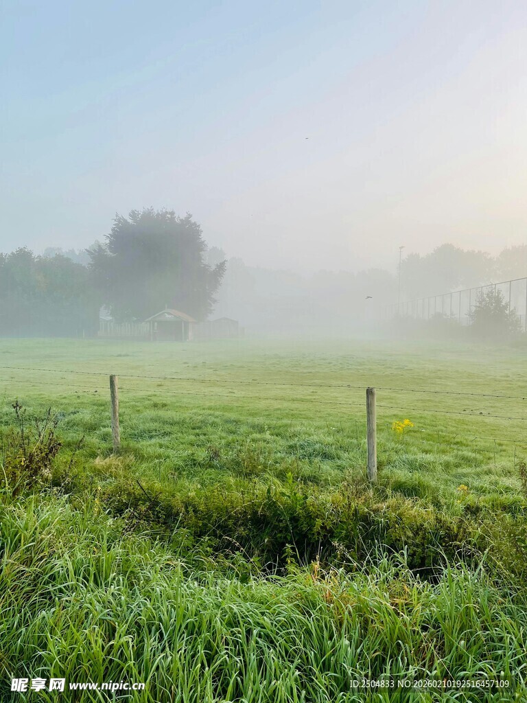 晨雾中的绿色田野