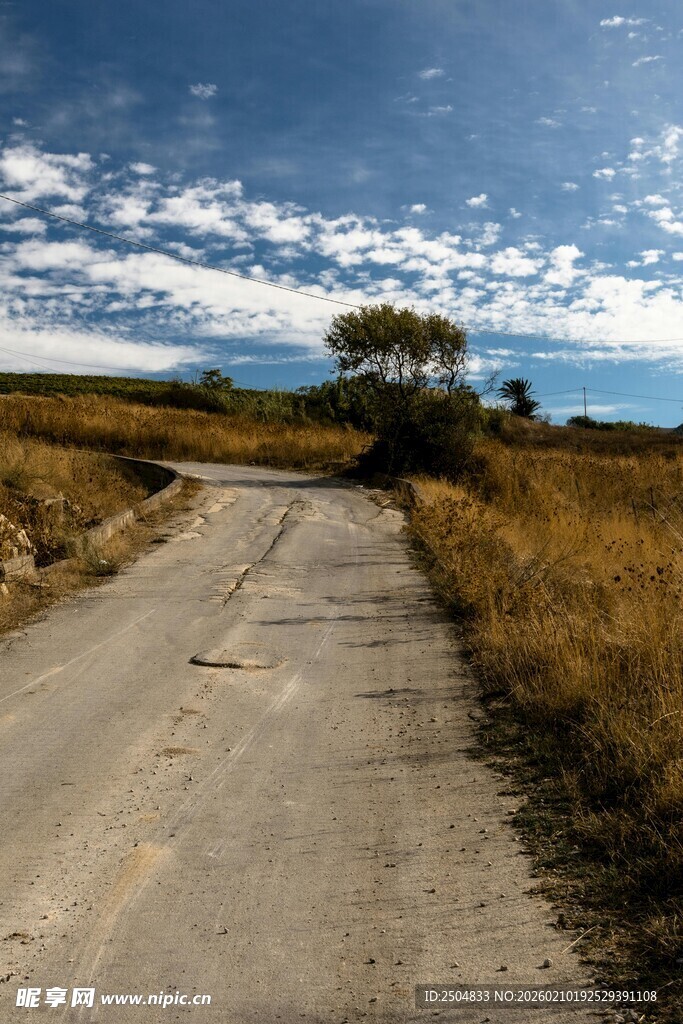 乡间旷野中的孤寂小路