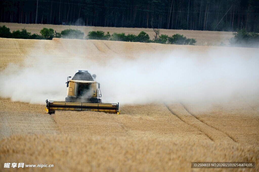 麦田中作业的联合 割机