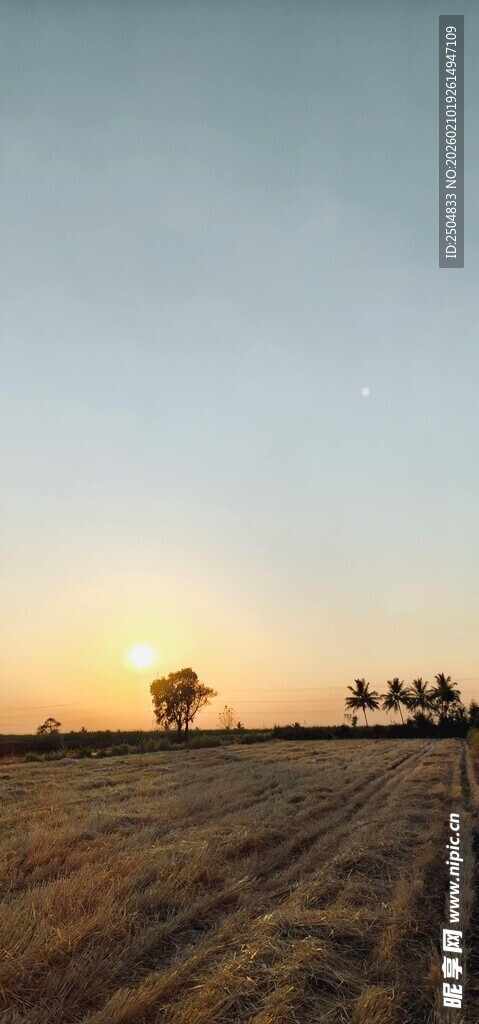 夕阳下的广袤田野