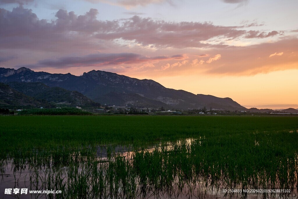 夕阳下的河畔湿地美景