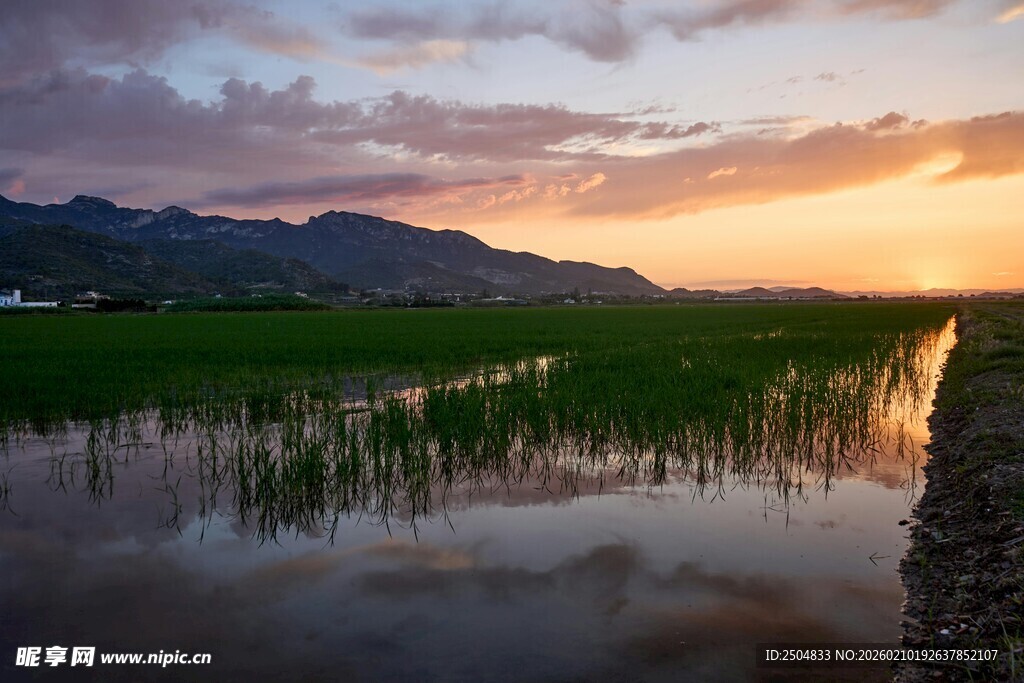 夕阳下的湿地风光