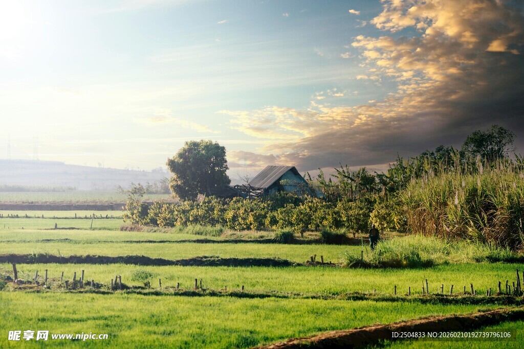 田园风光中的宁静乡村景色