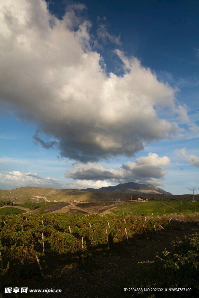 草原风光蓝天白云美景