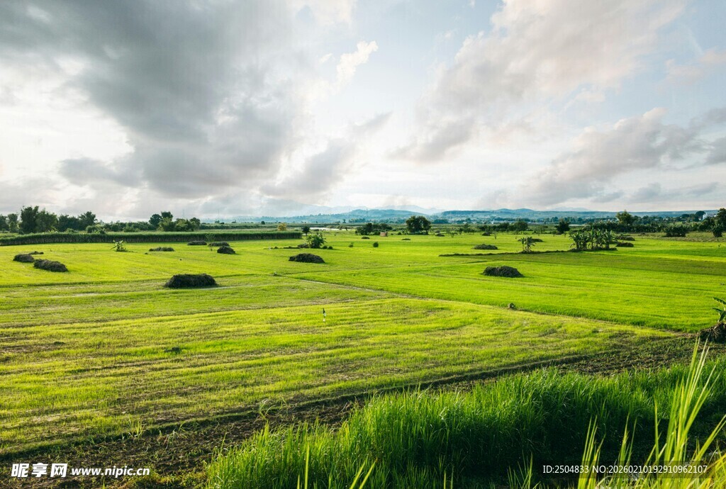 绿野风光 田园诗意美景