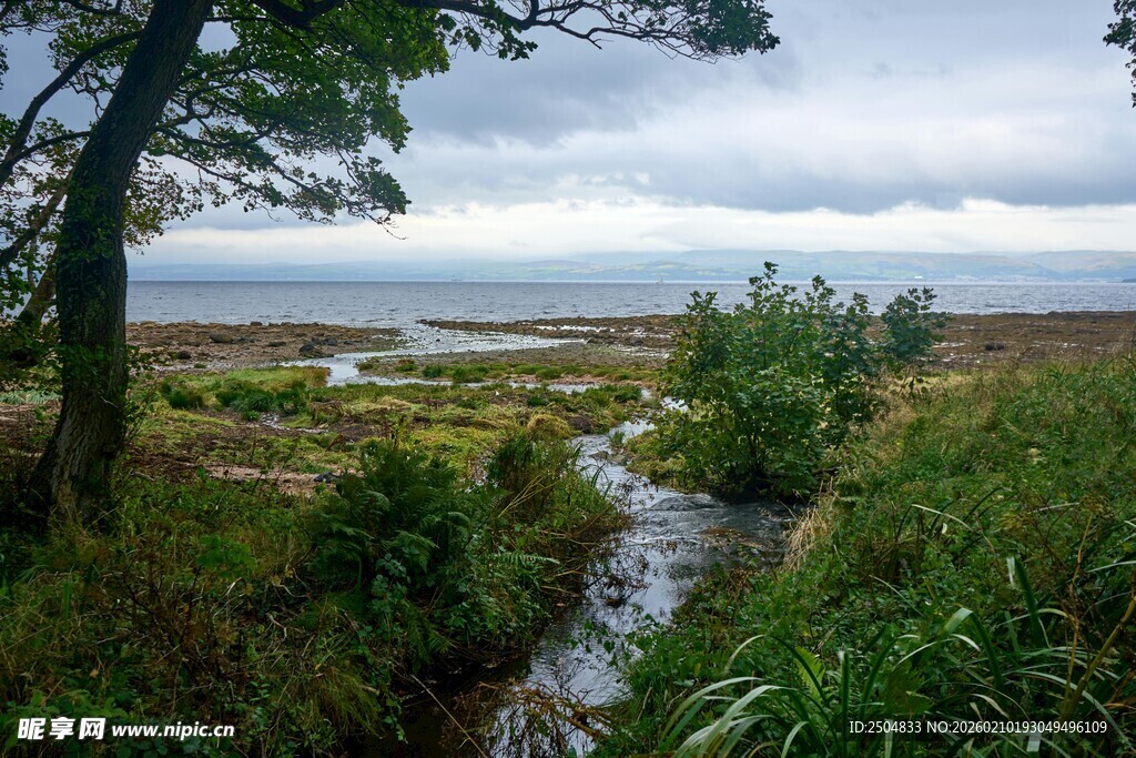 林间小径通向海边风景