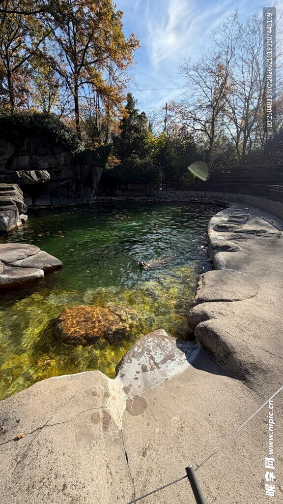 山间清澈溪流与岩石景观
