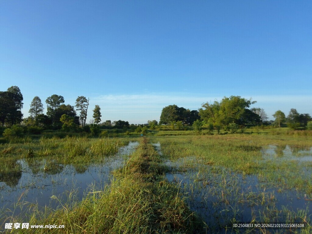 湿地风光 水草与蓝天相映