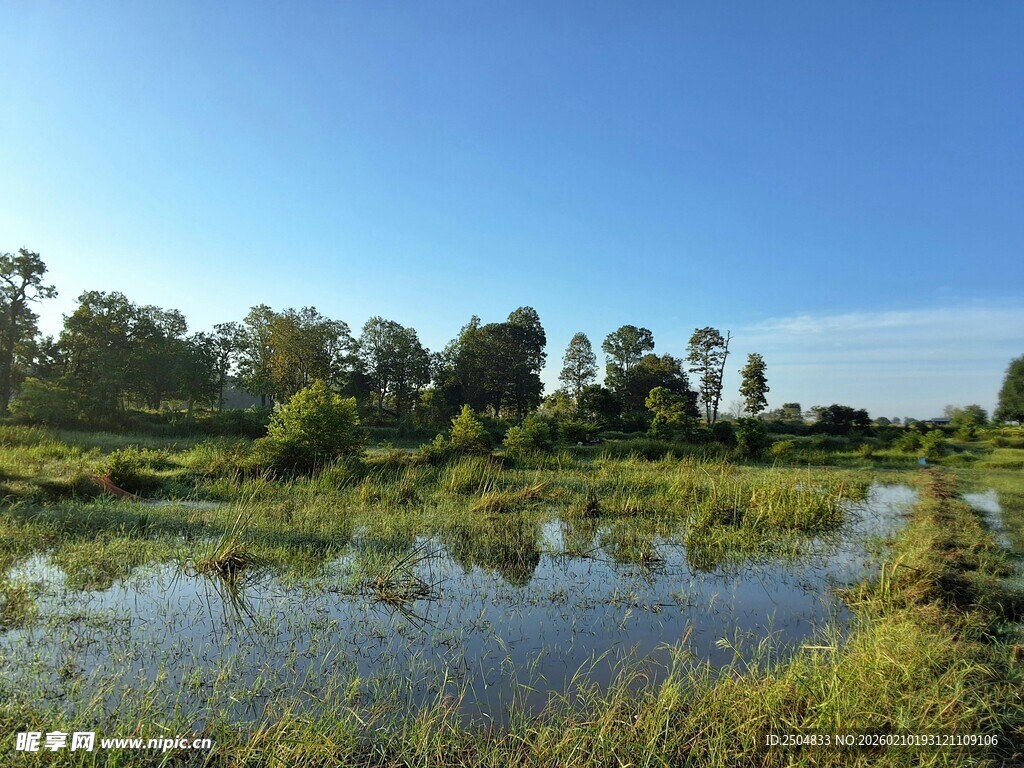 湿地风光 静谧自然之景