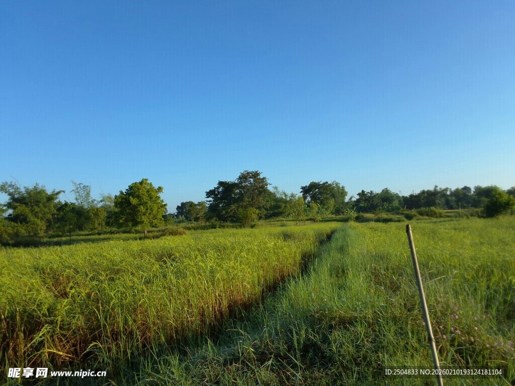 自然风景素材网站