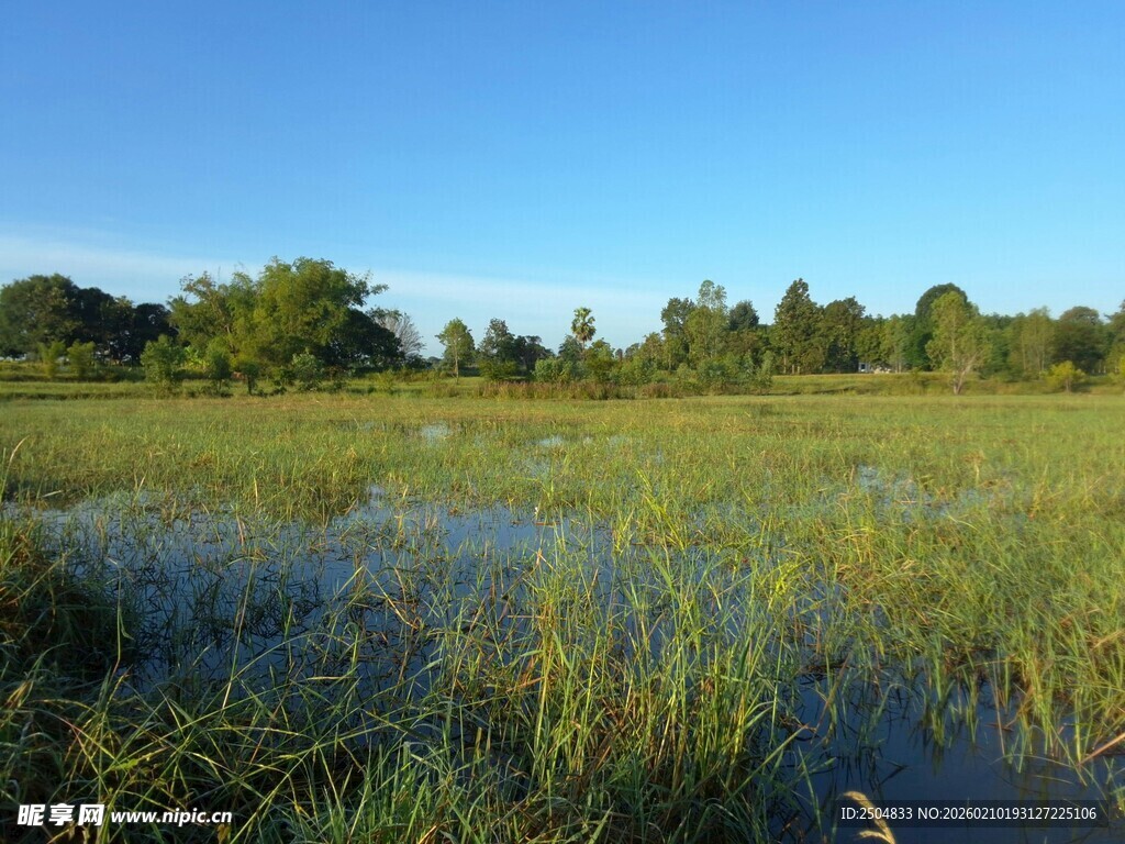 湿地风光 水草与蓝天相映