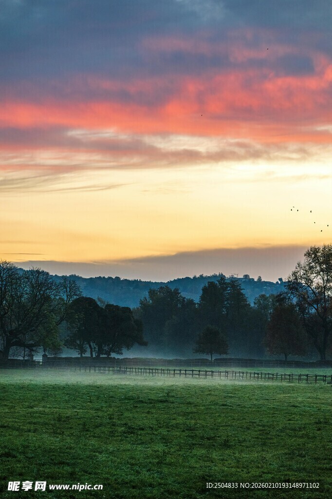 日出时分的广袤绿野