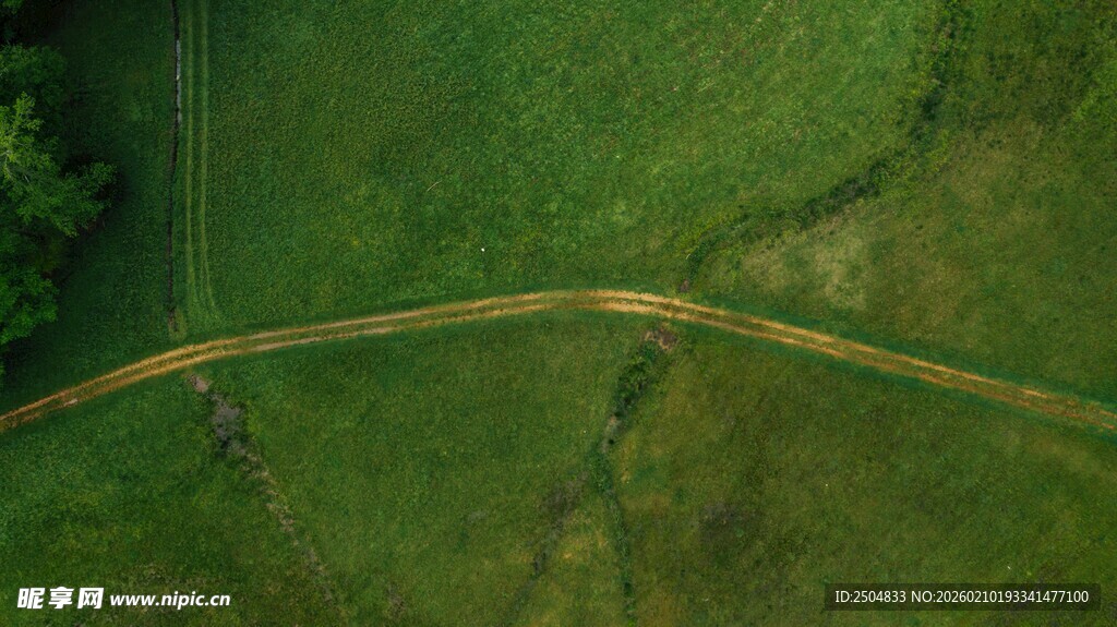空中俯瞰蜿蜒绿野小路