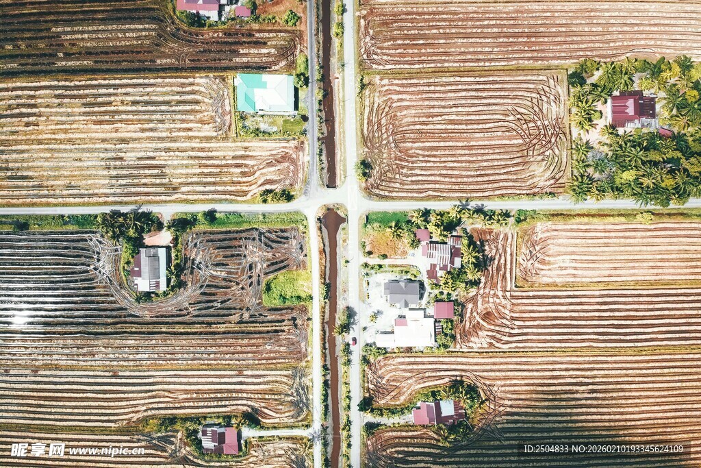 俯瞰多彩屋顶花园景观