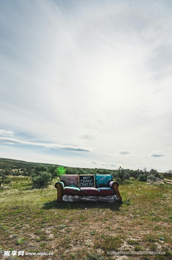 野外草地上的多彩沙发