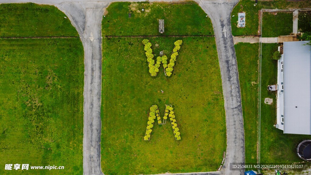 草坪上的字母造型景观