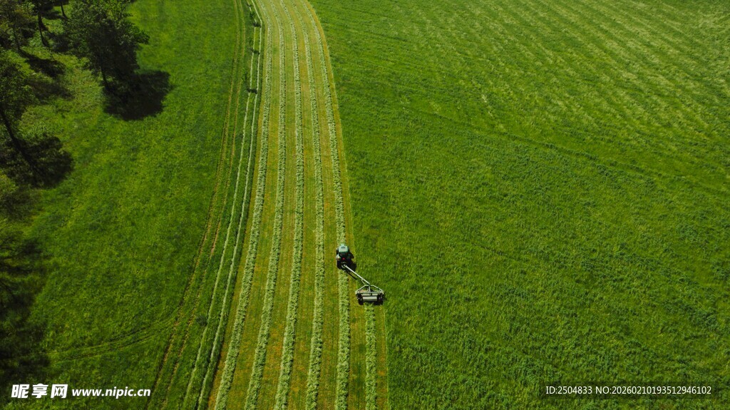 空中俯瞰绿色田野与车辆