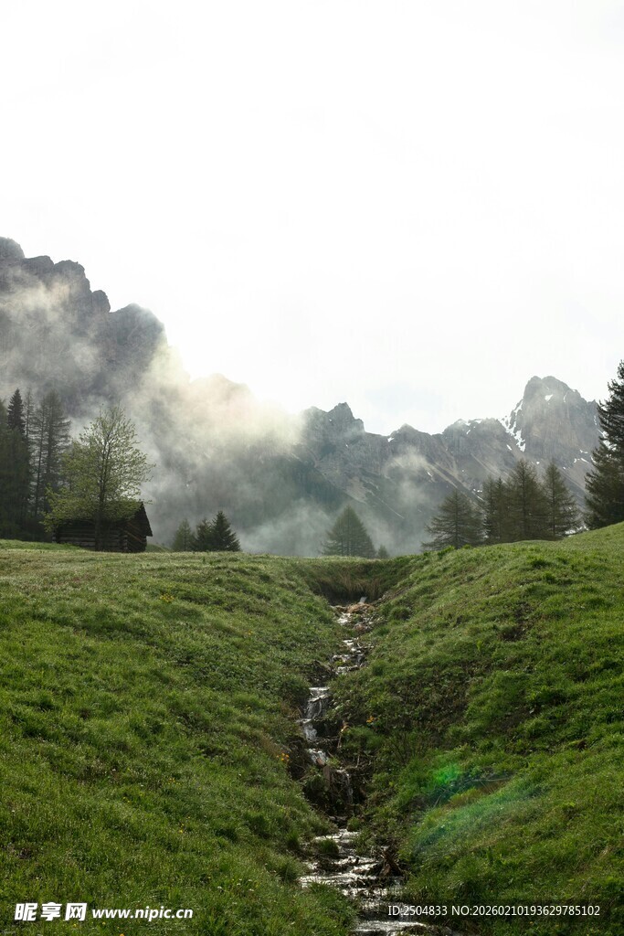 山间绿野中的潺潺溪流