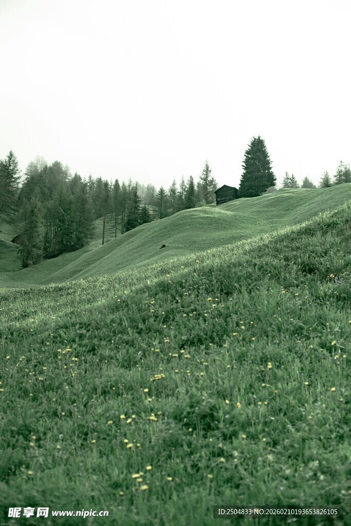 绿意盎然的山坡草地