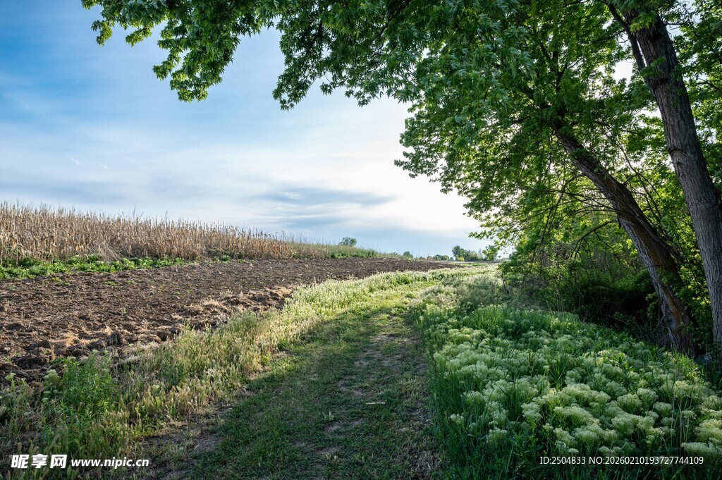 田园小径风光