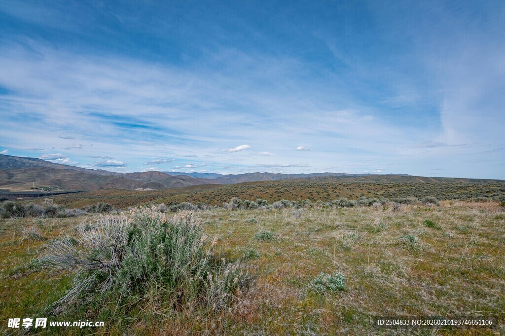广袤草原上的蓝天与植被