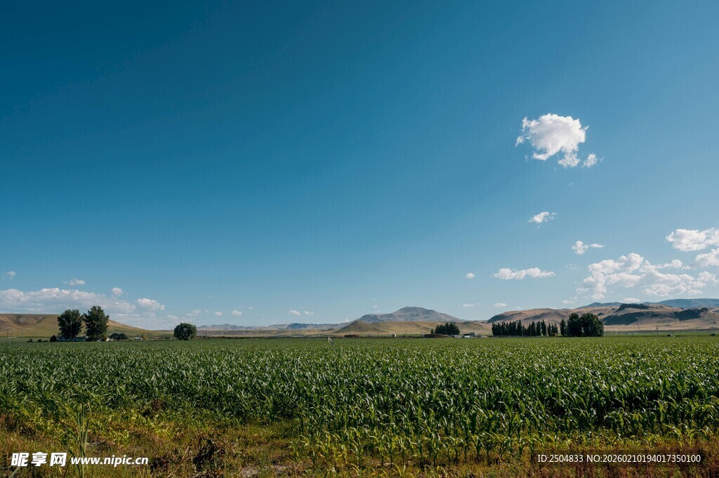 广阔田野风光