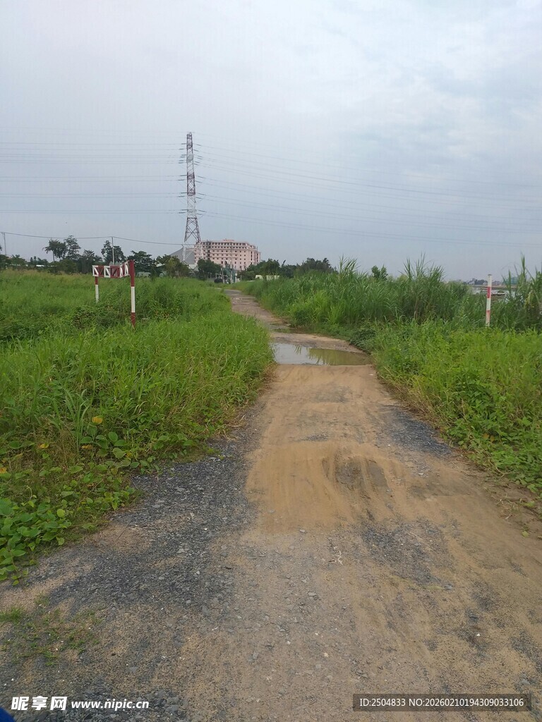 乡间泥泞小路 绿意盎然