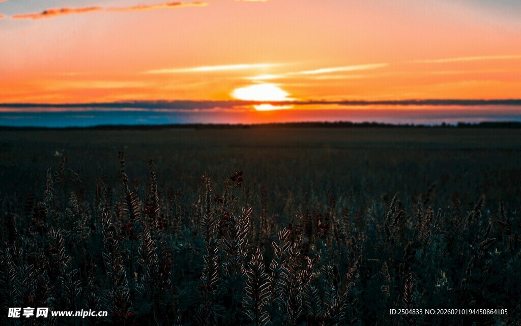 夕阳下的田野美景