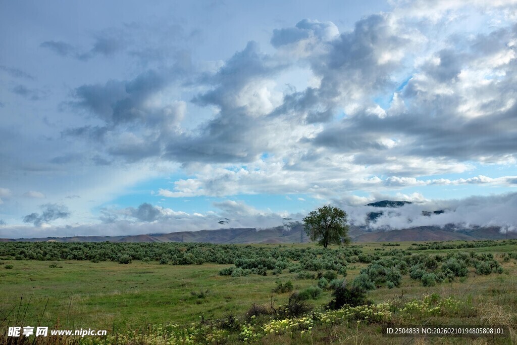 草原天空下的开阔美景