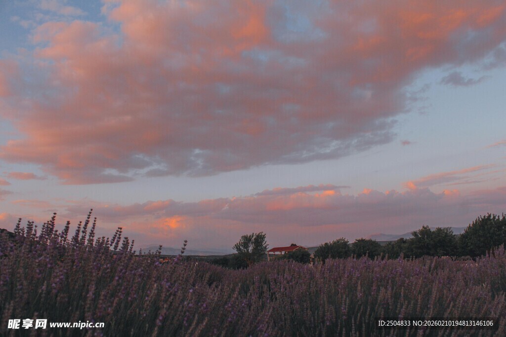 晚霞下的田野风光