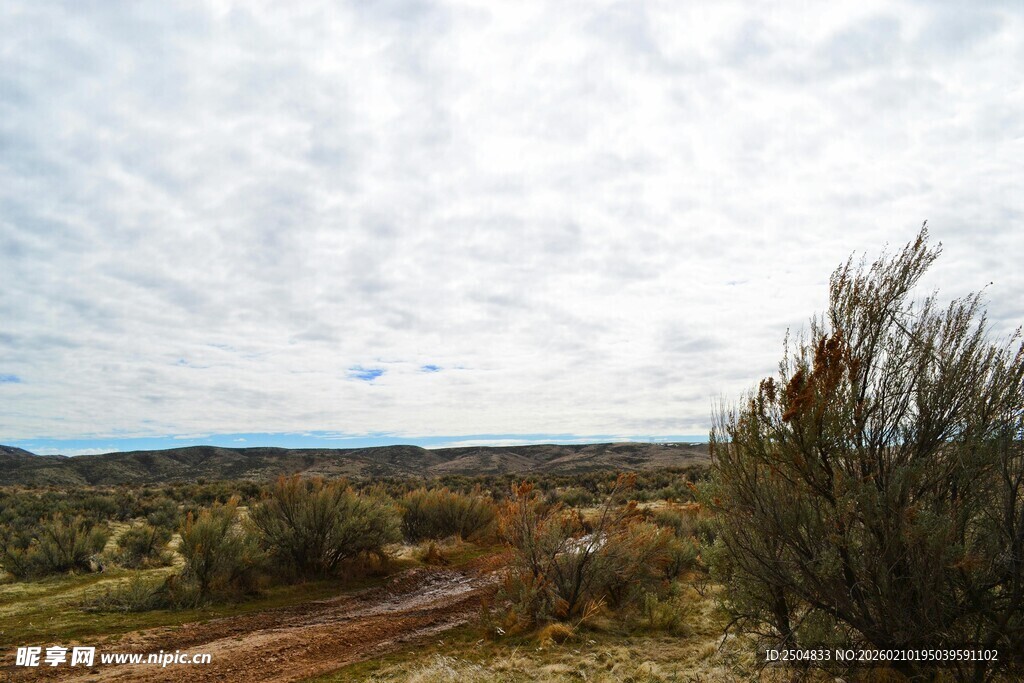 旷野风光 自然景致