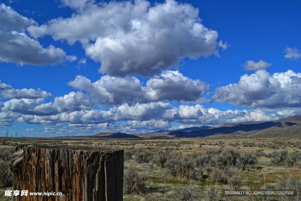旷野木栏与蓝天白云