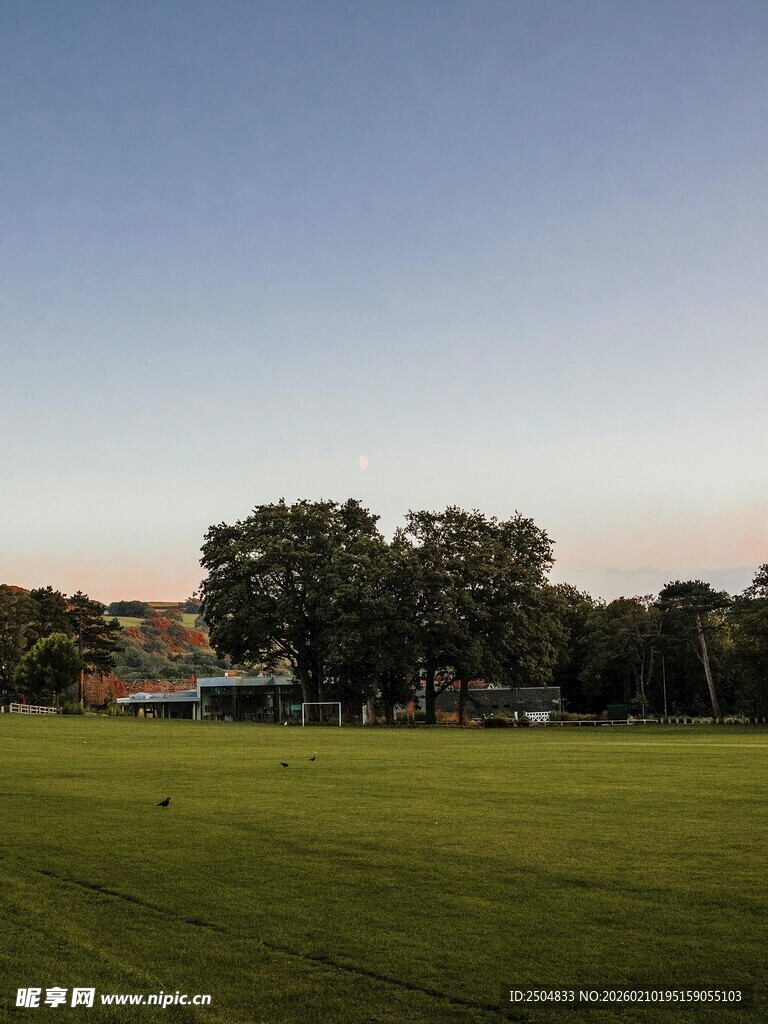 黄昏下的草地与树林景观