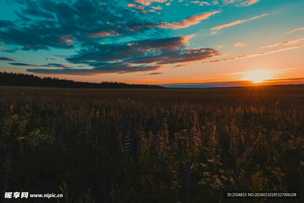 日落时分的广袤田野风光