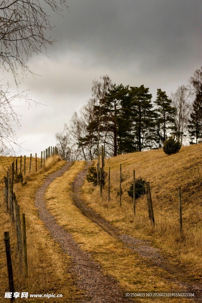 乡间土路 萧瑟冬日景象