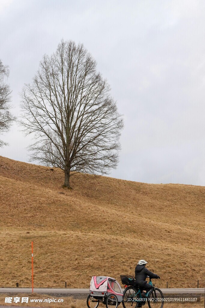 旷野孤树旁的骑行者