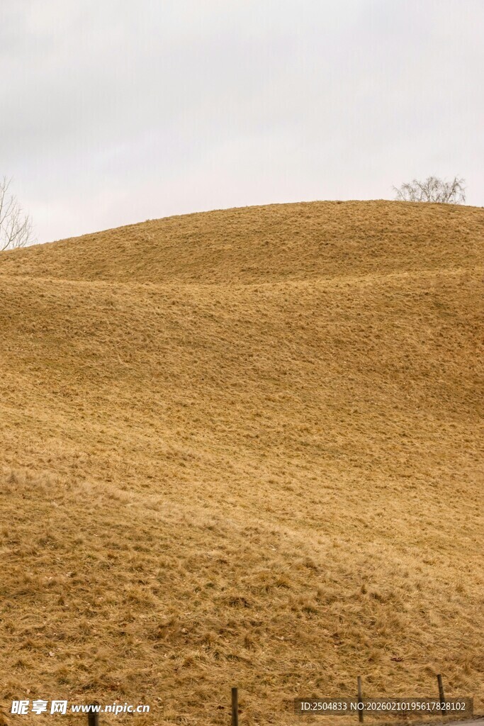 金黄旷野山丘风景图