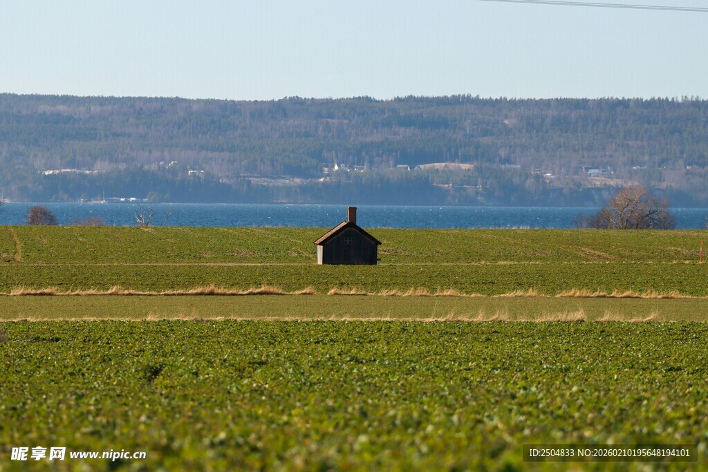 田野中的孤独小屋